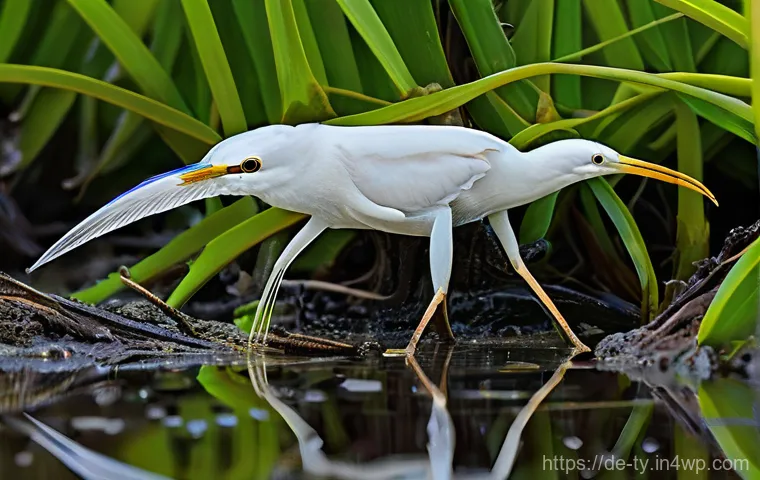 맹그로브 숲과 해양 생물의 서식지 보호 - **Prompt:** "A breathtaking, immersive view into a dense and mysterious mangrove forest at sunset. G... 맹그로브 숲과 해양 생물의 서식지 보호 - **Prompt:** "A breathtaking, immersive view into a dense and mysterious mangrove forest at sunset. G...