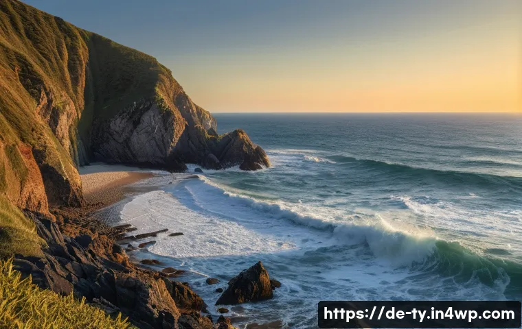 맹그로브 생태계를 위한 연구 및 모니터링 관련 이미지 1