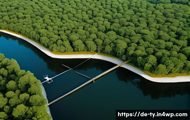 맹그로브 생태계 복원 단계별 가이드 관련 이미지 2