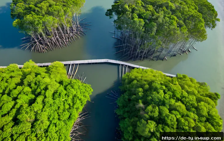 Home 17 맹그로브 숲의 복원과 기후 변화 적응 - Photorealistic aerial view of a restored mangrove forest along a calm tropical coastline, dense youn...